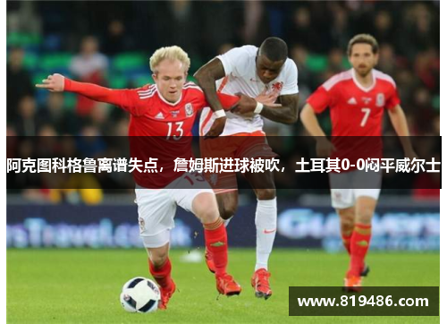 阿克图科格鲁离谱失点，詹姆斯进球被吹，土耳其0-0闷平威尔士